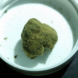 Meet your Posher, Lanny